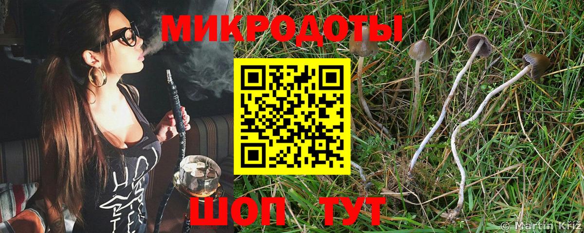 Москва  Псилоцибиновые грибы Cubensis  где можно купить   Вход с VPN  Галлюциногенные грибы Psilocybe 